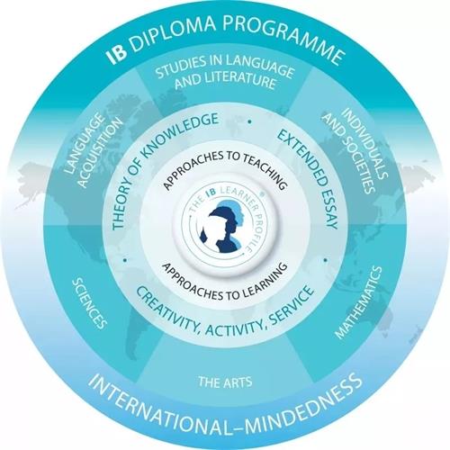 天津市实验中学国际高中（IB-DP）课程体系图