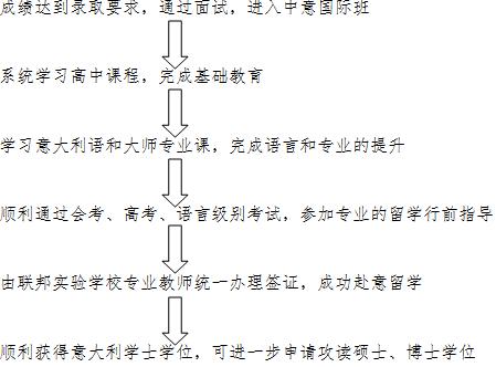留学流程图片