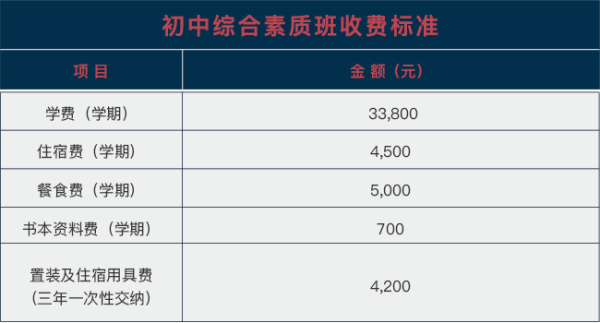 武汉海淀外国语实验学校国际初中（综合素质班）收费标准