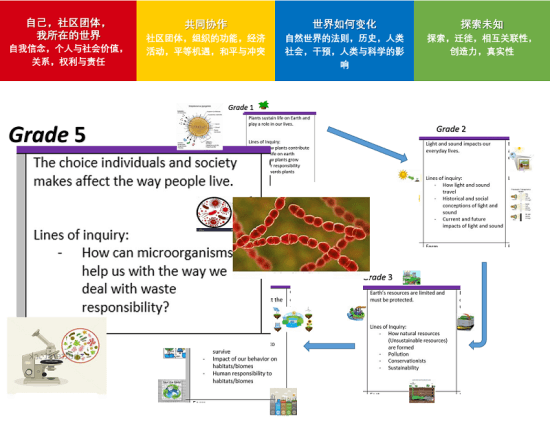 跨学科主题