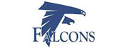佛罗里达空军学院LOGO