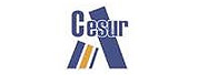 CESUR高等职业教育学院LOGO
