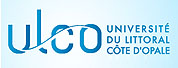 滨海大学LOGO