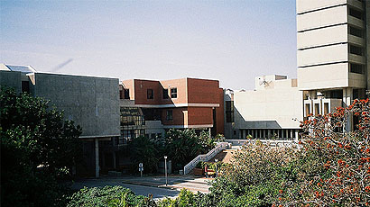 莱奥本矿业大学LOGO