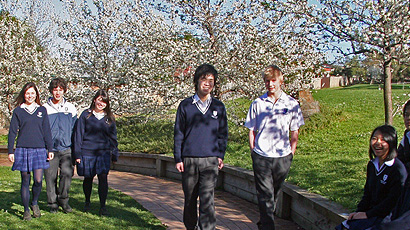 Templestowe Collegelogo图片