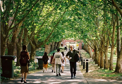 澳大利亚悉尼工商技术学院（麦考瑞大学）校徽logo图片