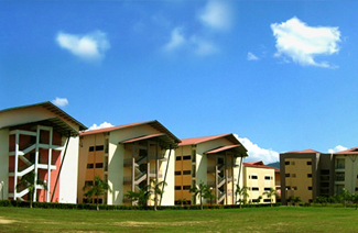 林登大学图片