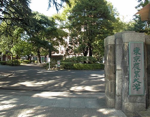 东京农业大学校徽logo图片