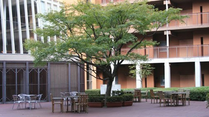 筑波大学图片