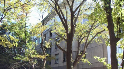 庆应义塾大学图片
