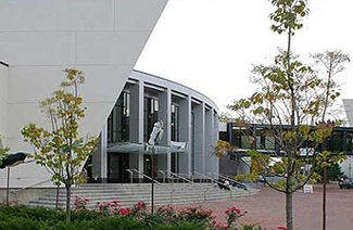 明尼苏达大学双城分校图片