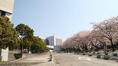 中央大学图片