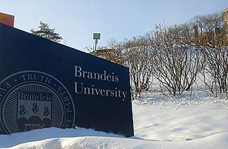 布兰迪斯大学图片