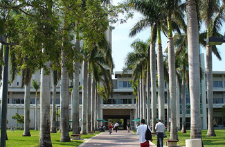 迈阿密大学图片