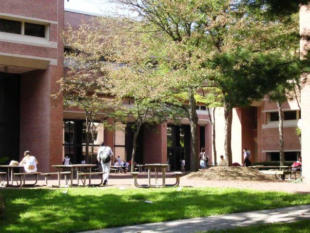 特拉华县社区大学logo图片